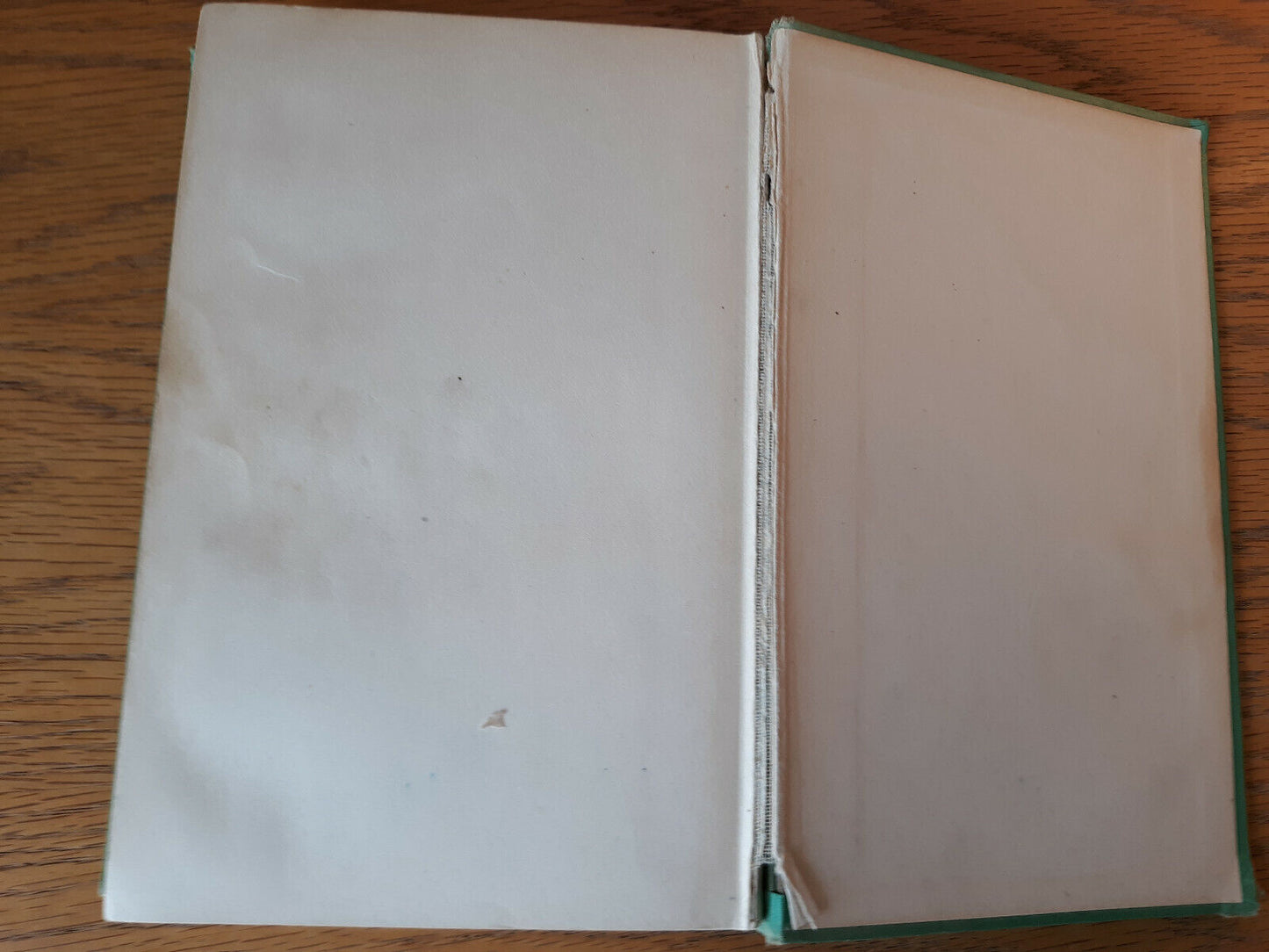 Image #10