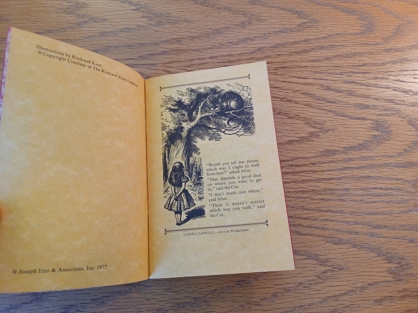Image #5