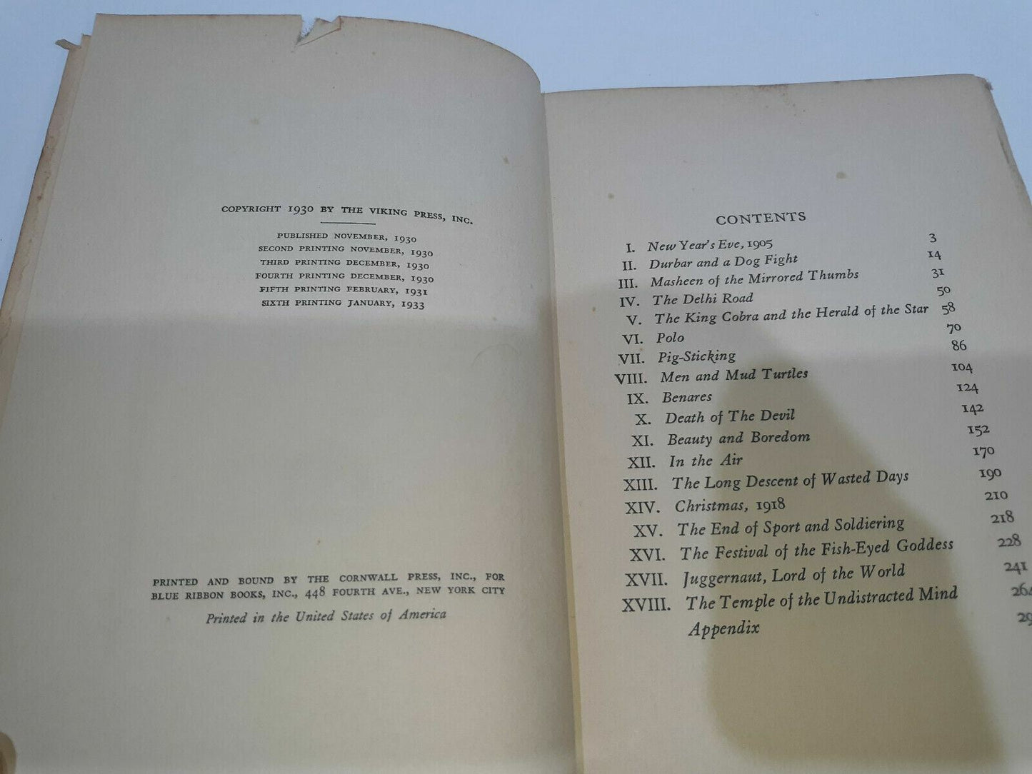 Image #8