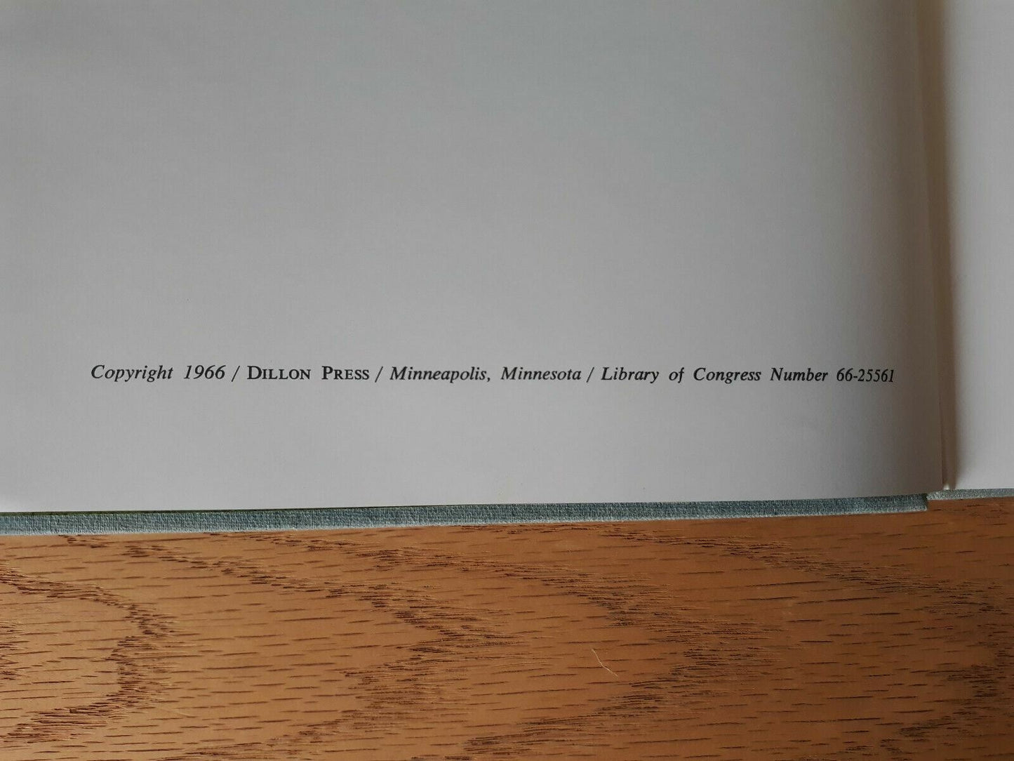 Image #8