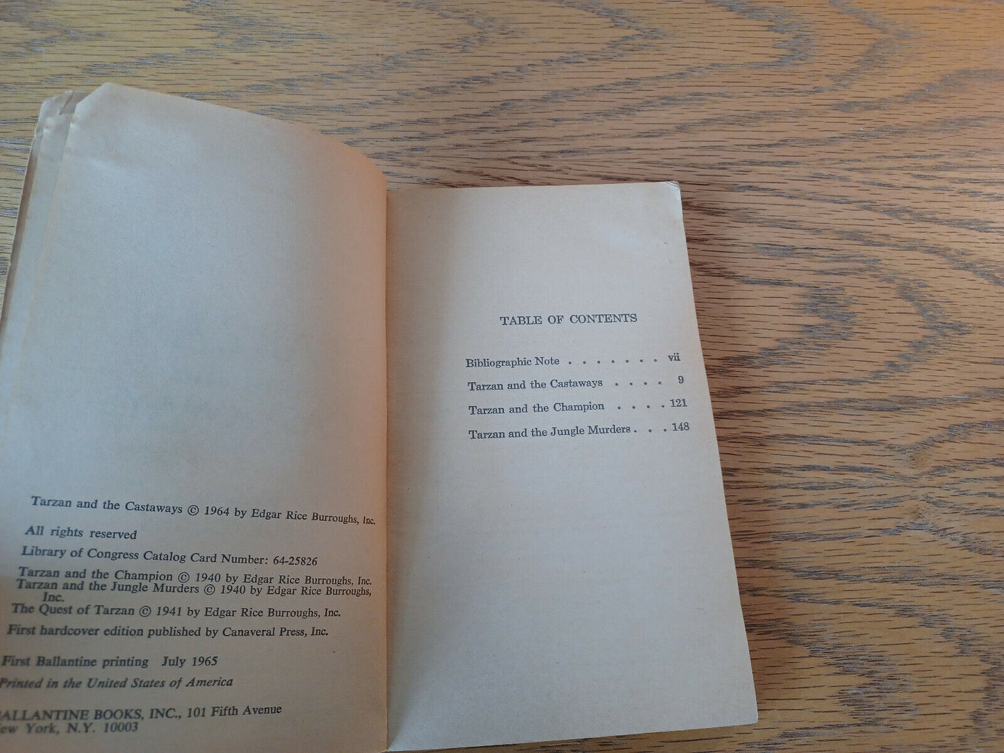 Image #8