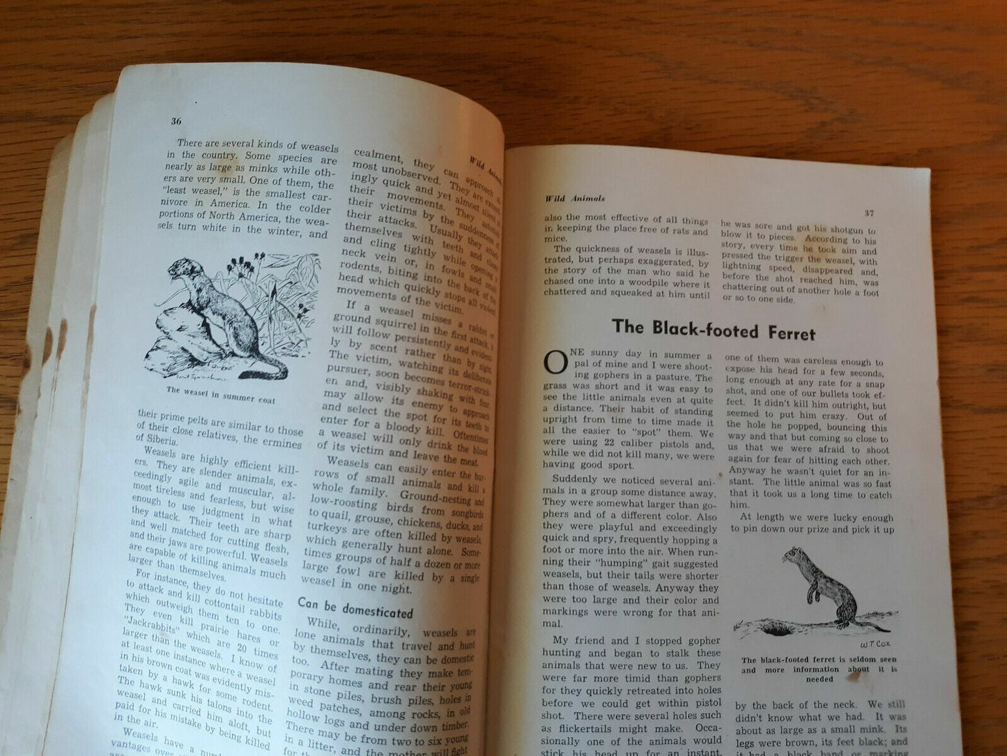 Image #7