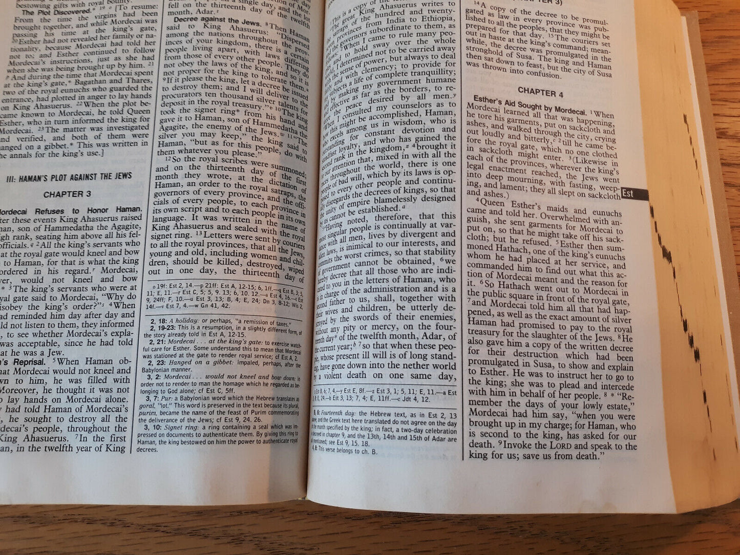 Image #11