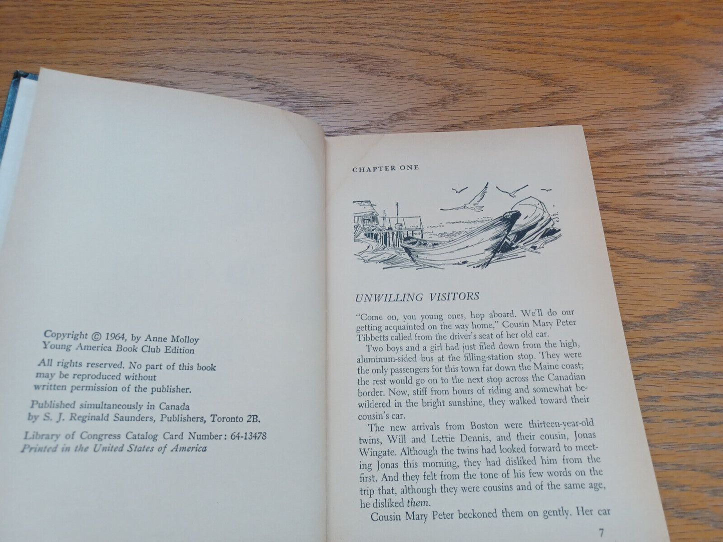 Image #8