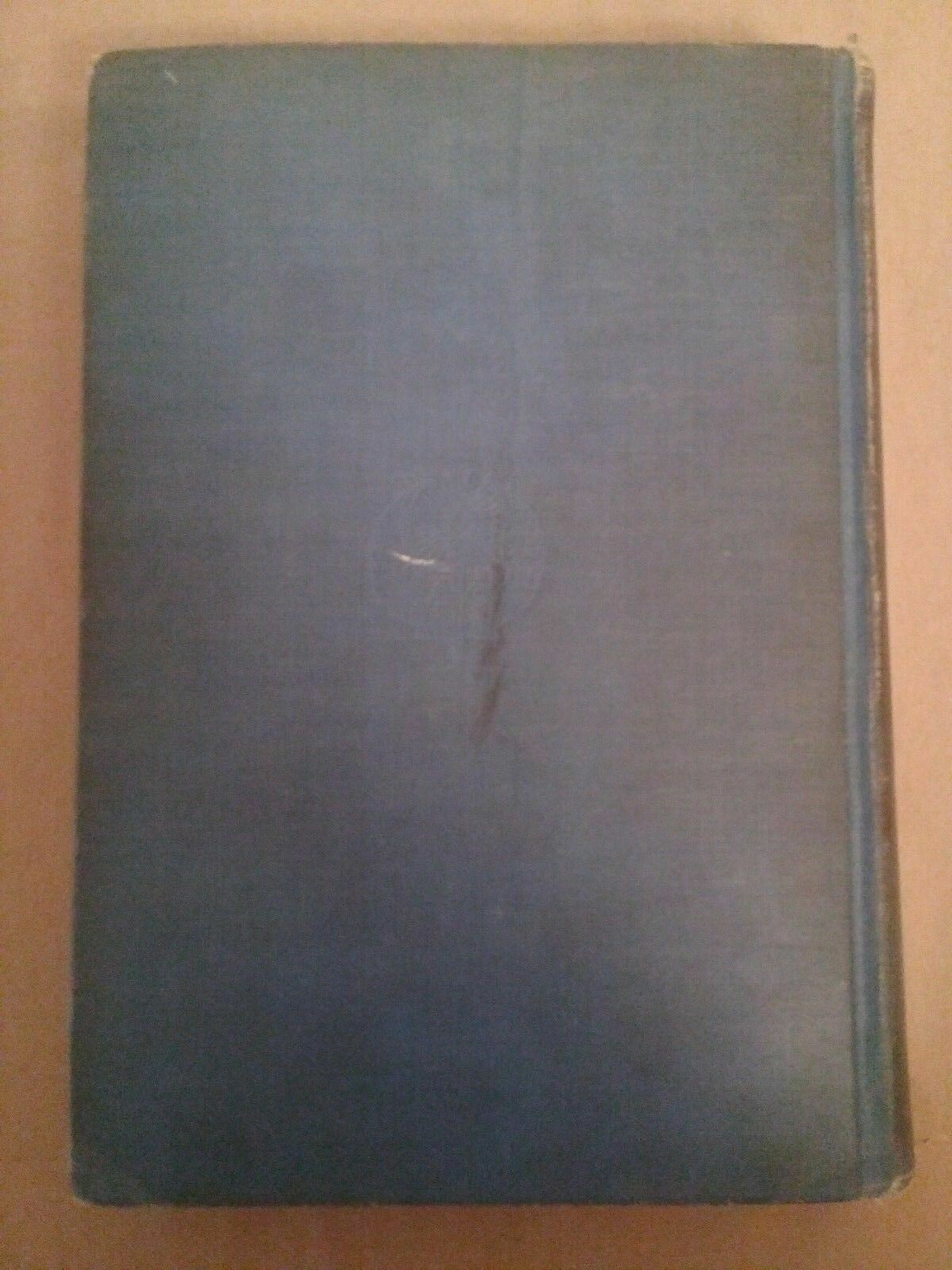 Image #8