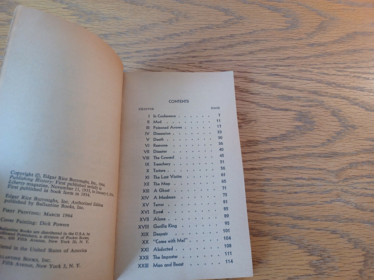 Image #8