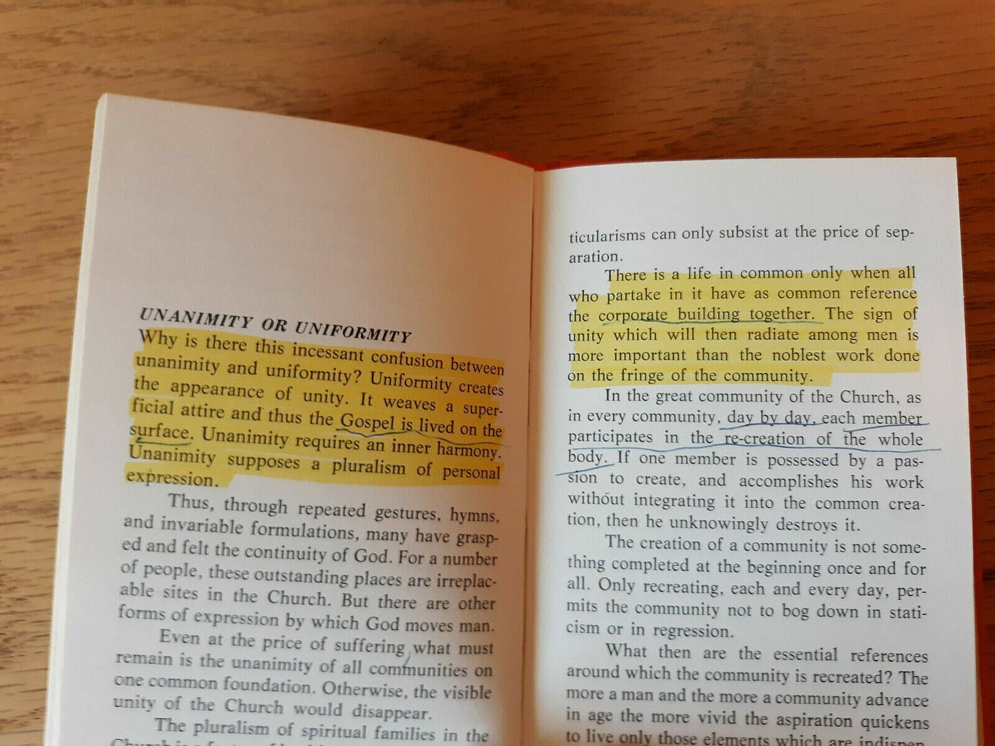 Image #11