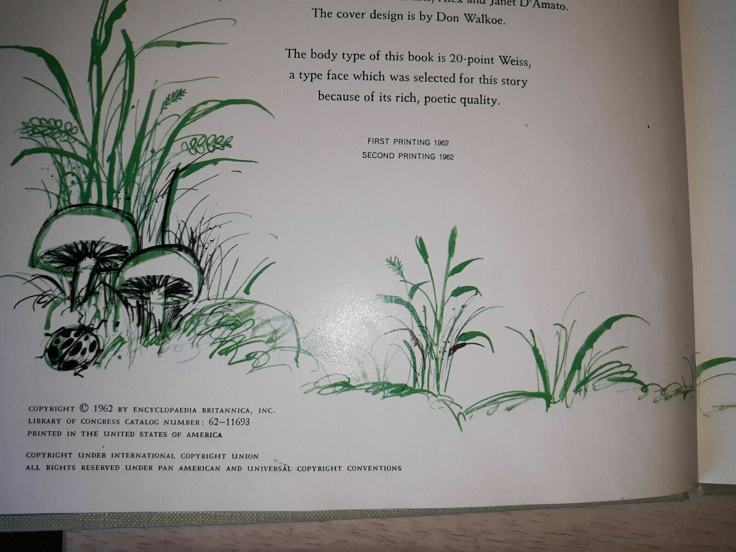 Image #9