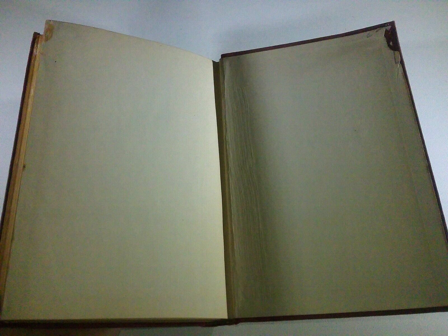 Image #9
