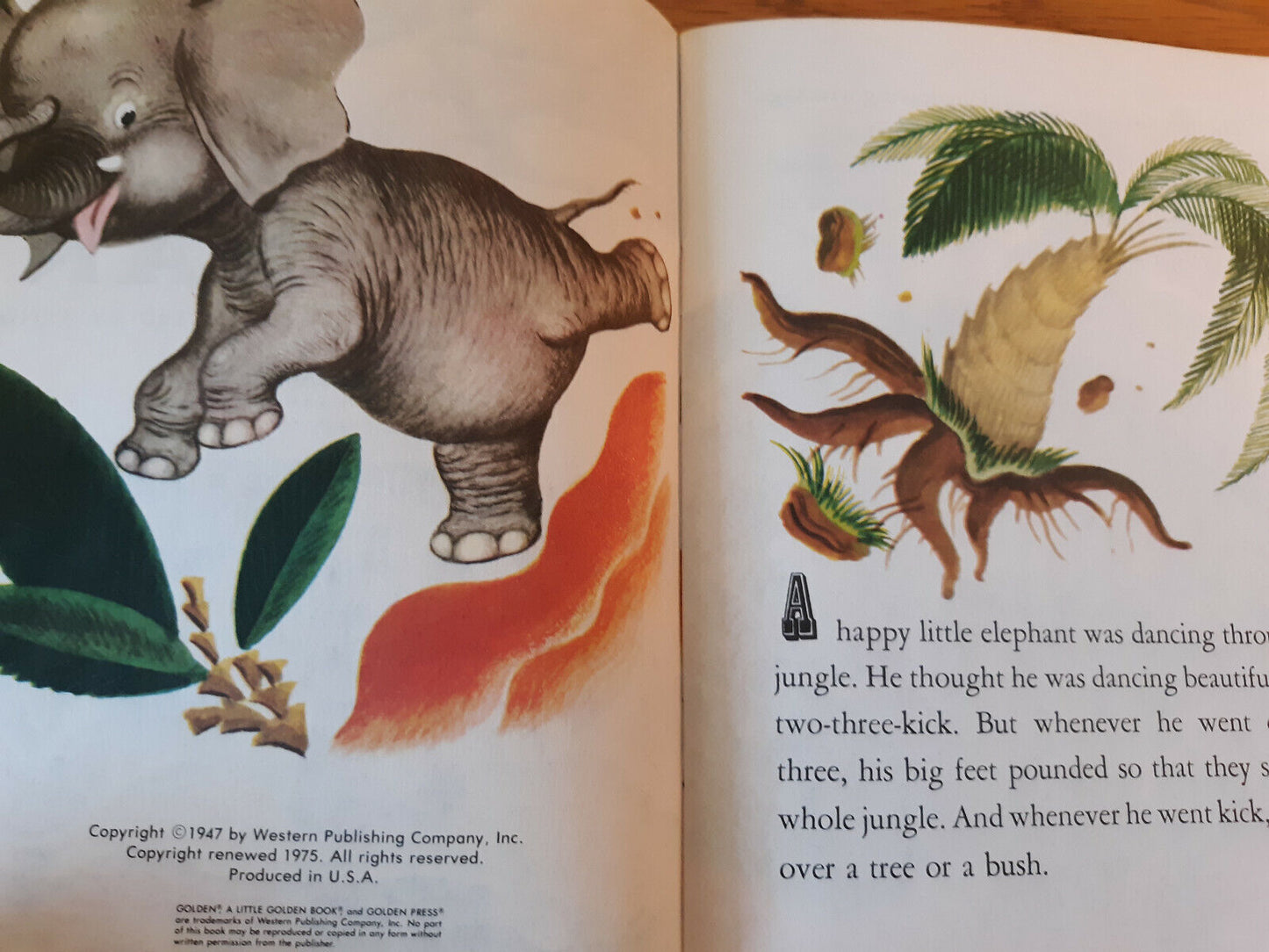 Image #5