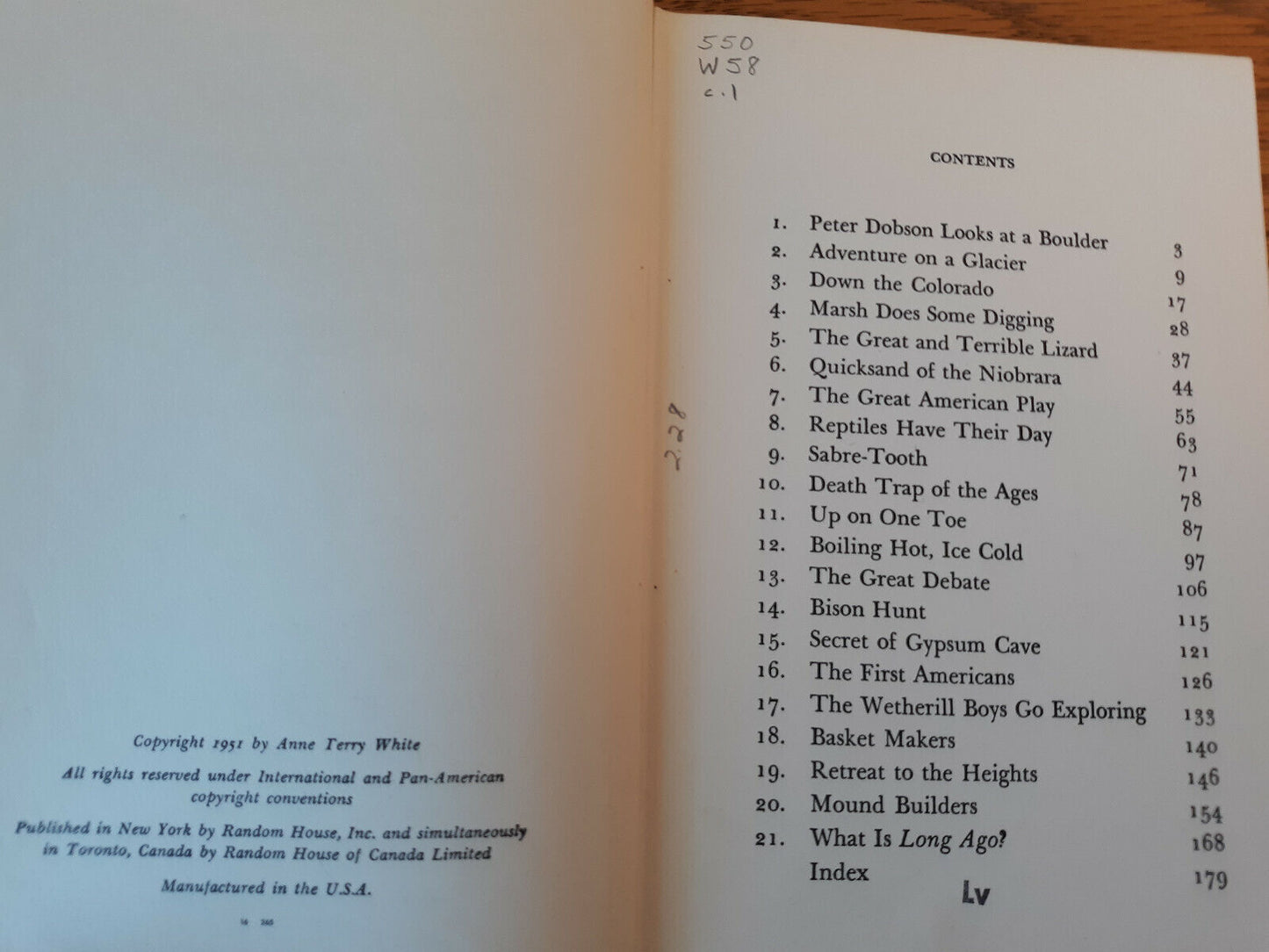 Image #8