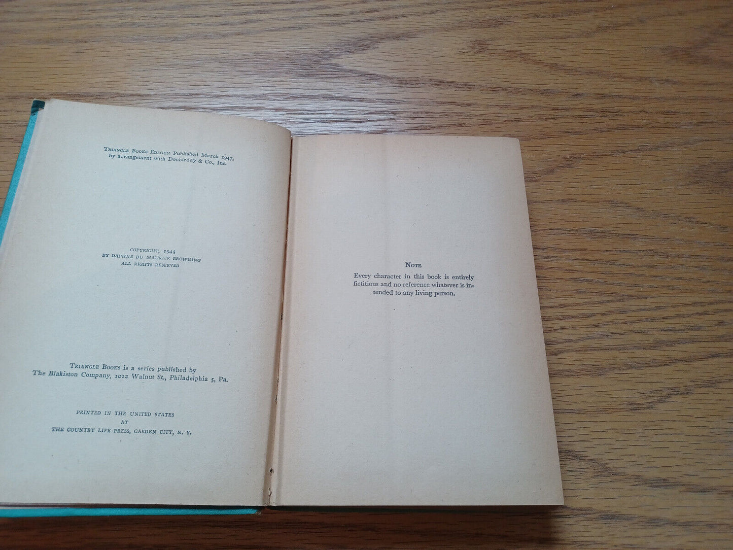 Image #8