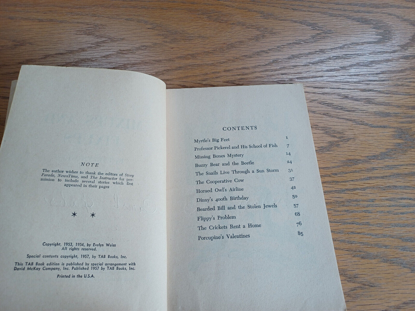 Image #8