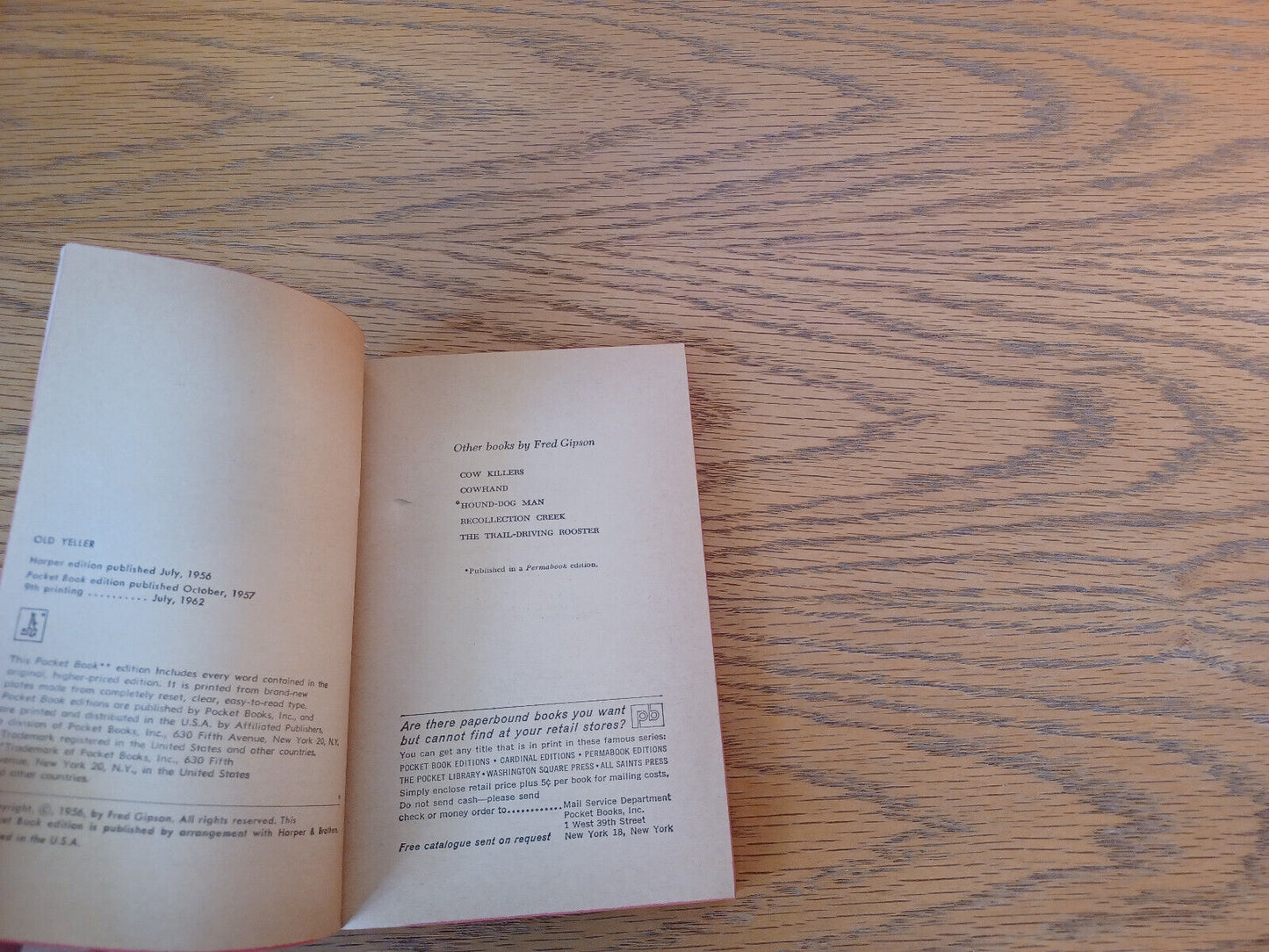 Image #8