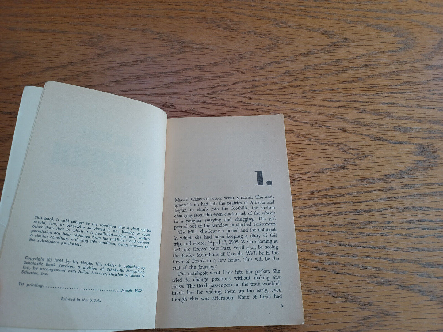 Image #8