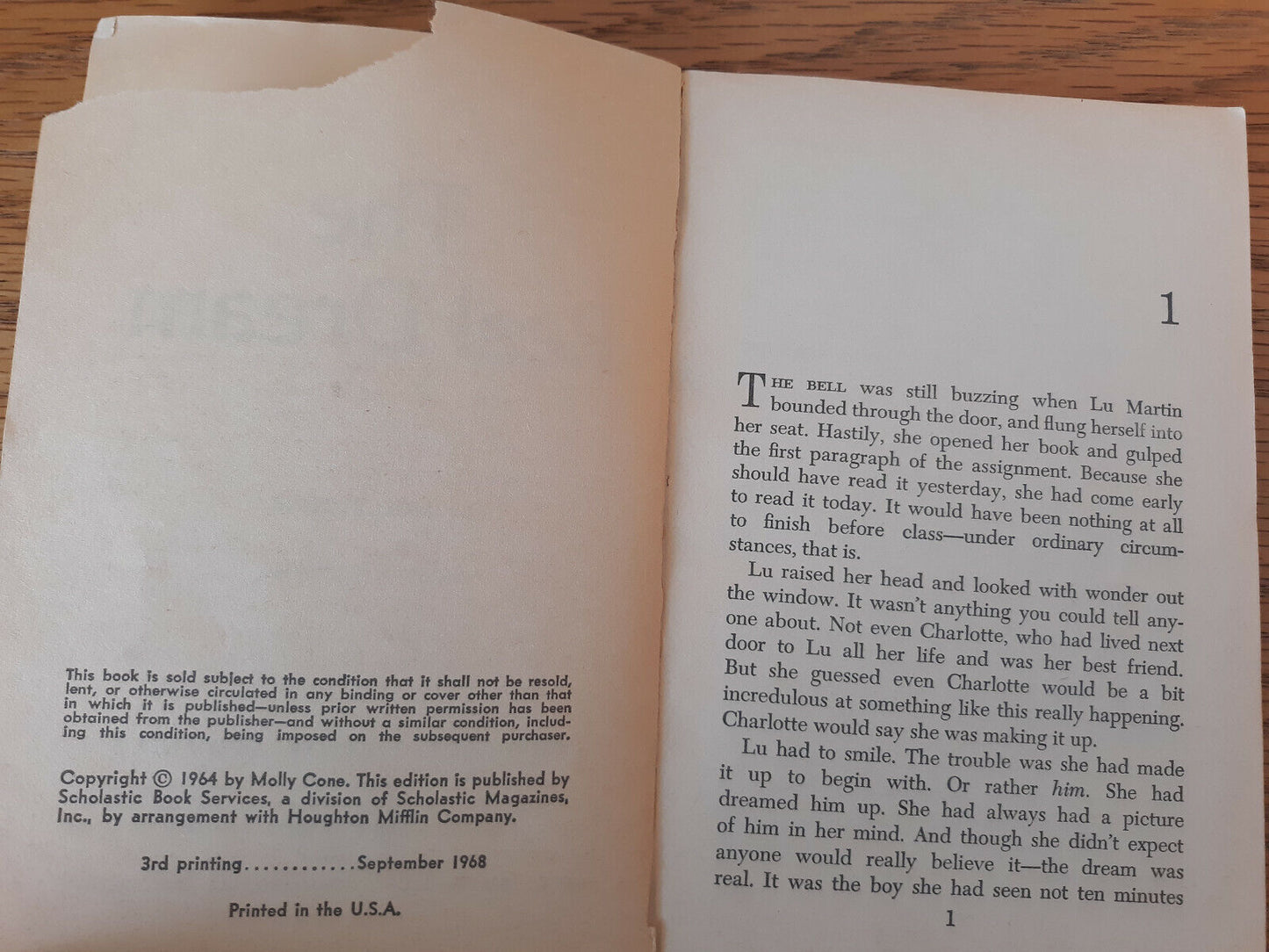 Image #8