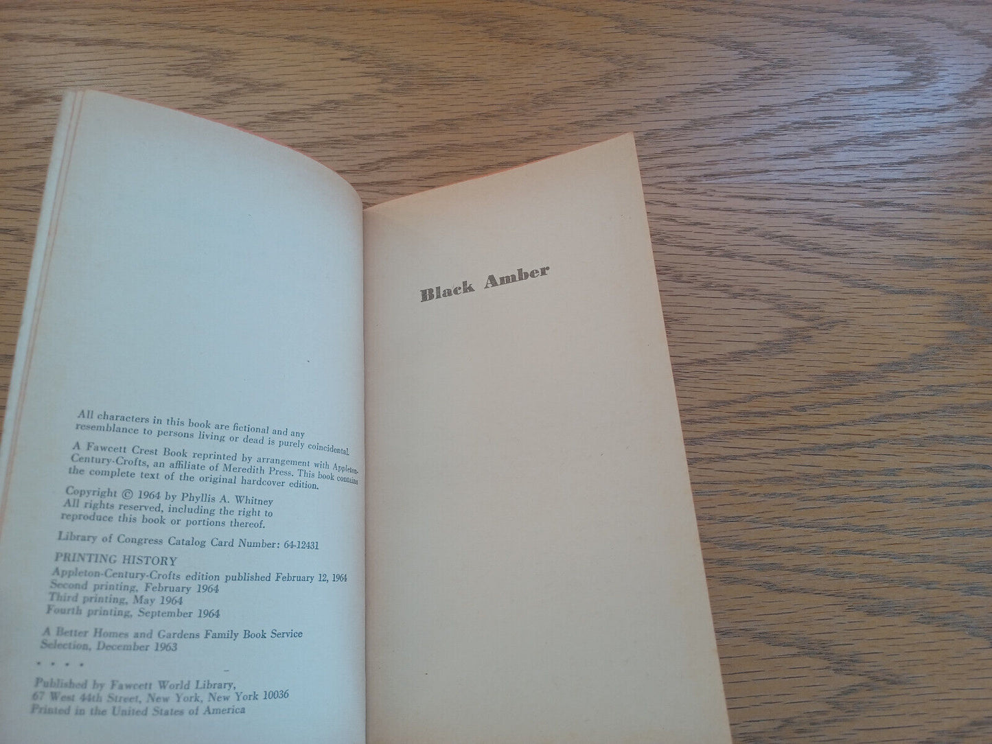Image #8