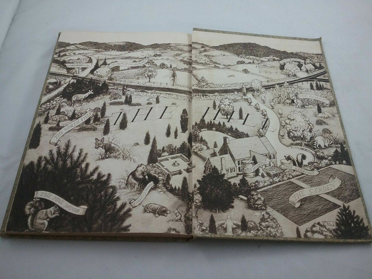 Image #5