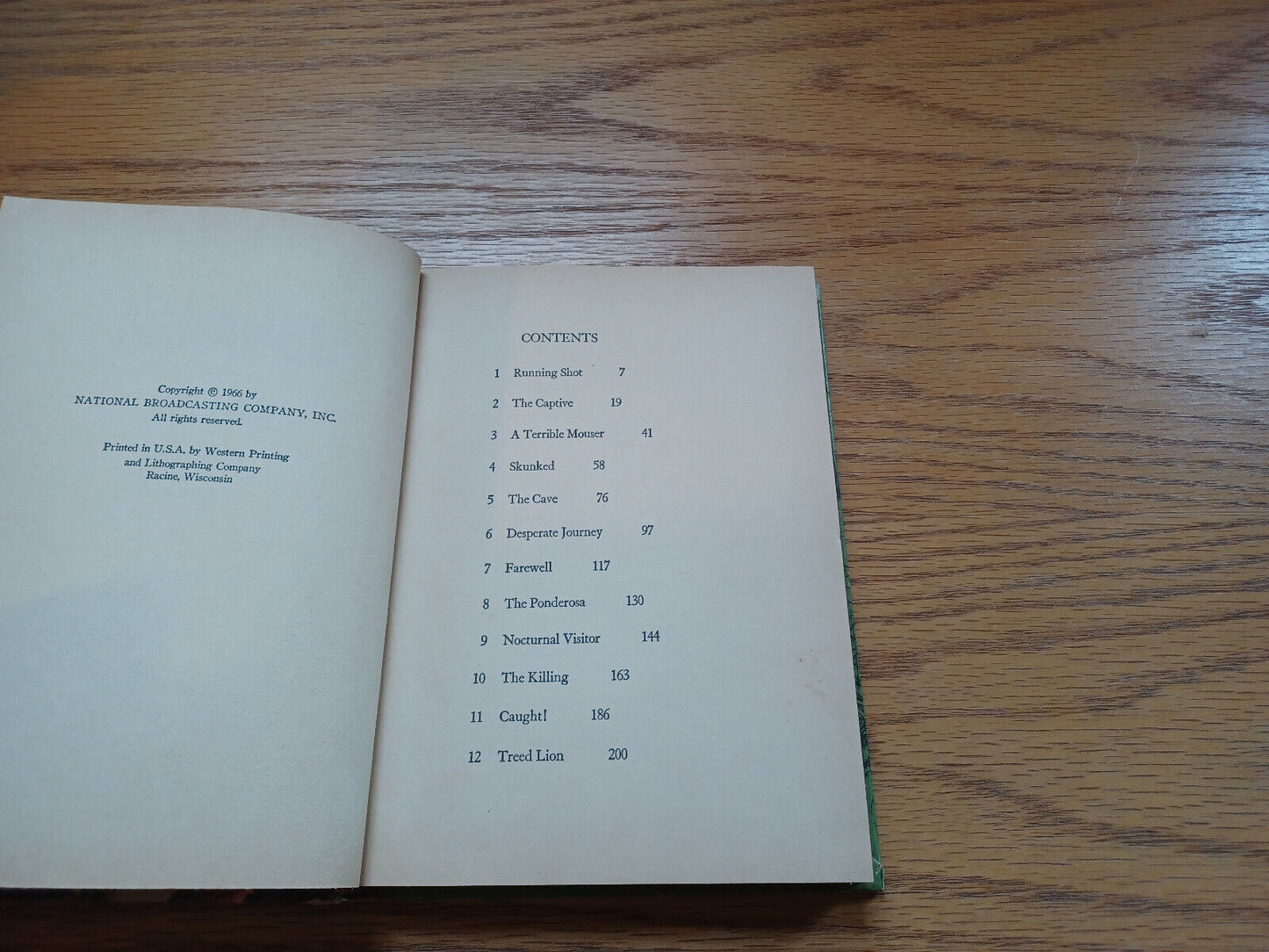 Image #8