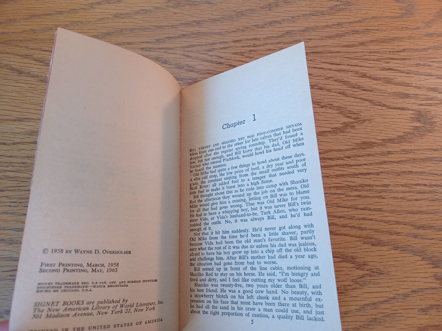 Image #8
