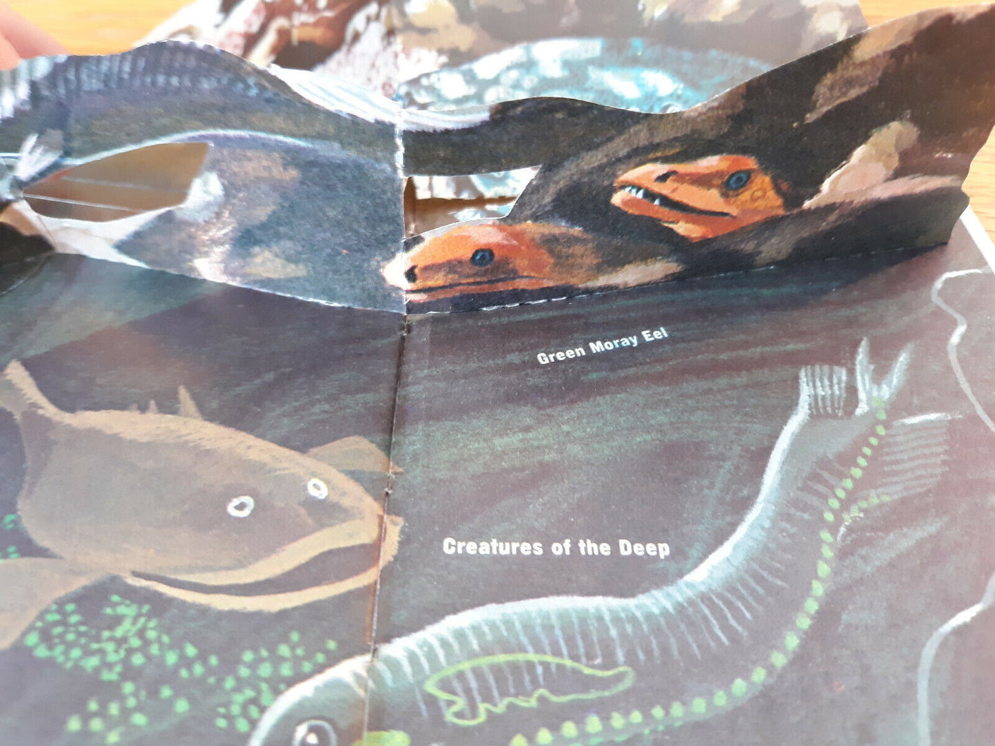 Image #10