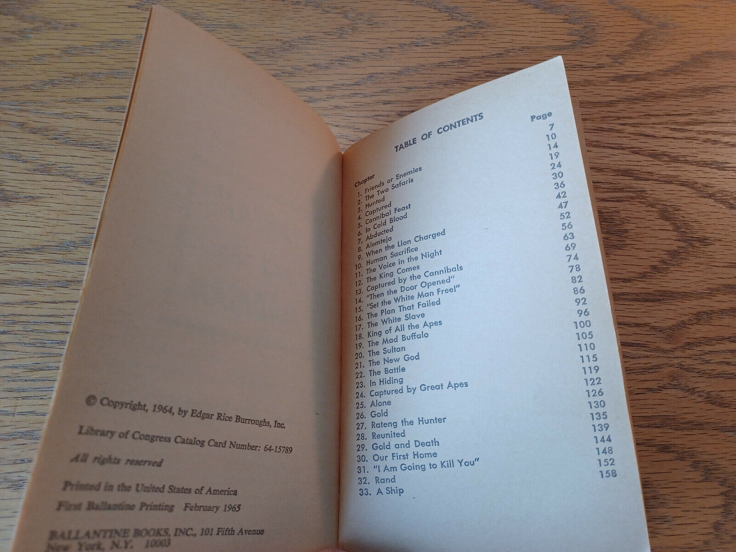 Image #8