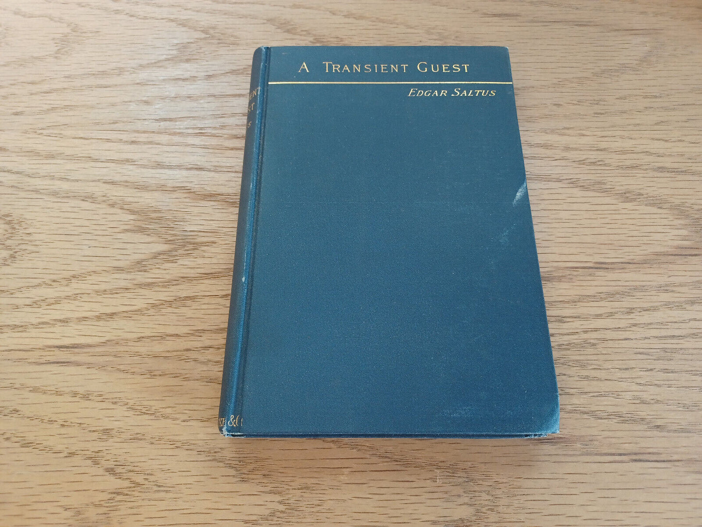 A Transient Guest And Other Episodes Edgar Saltus 1889