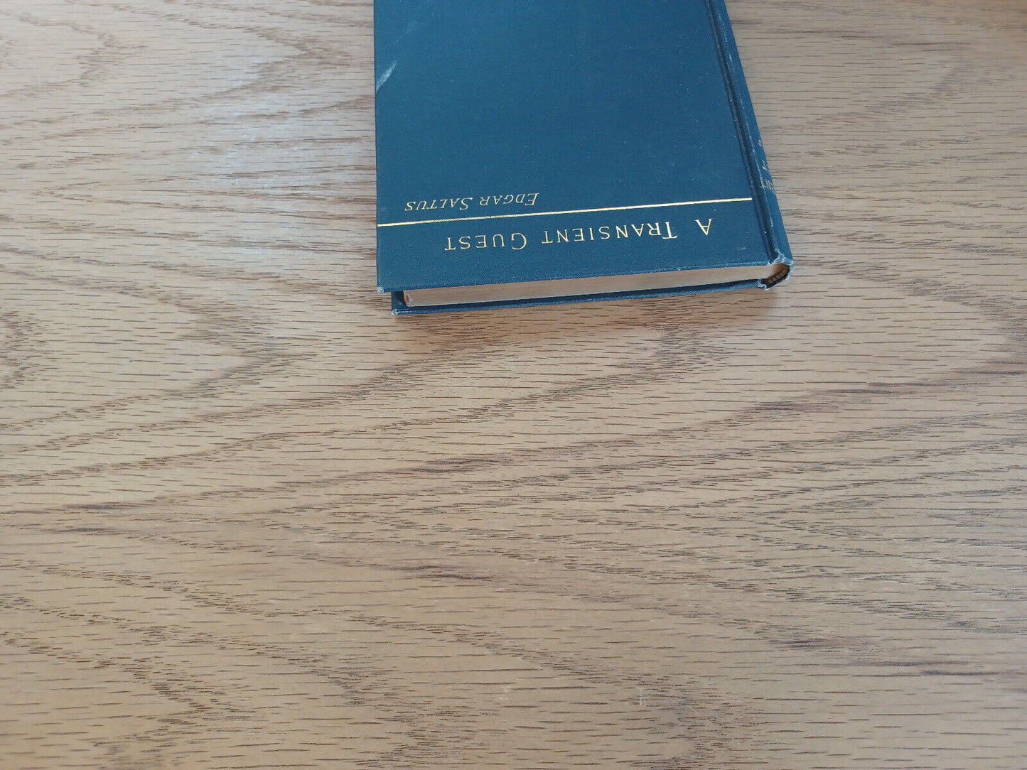 A Transient Guest And Other Episodes Edgar Saltus 1889