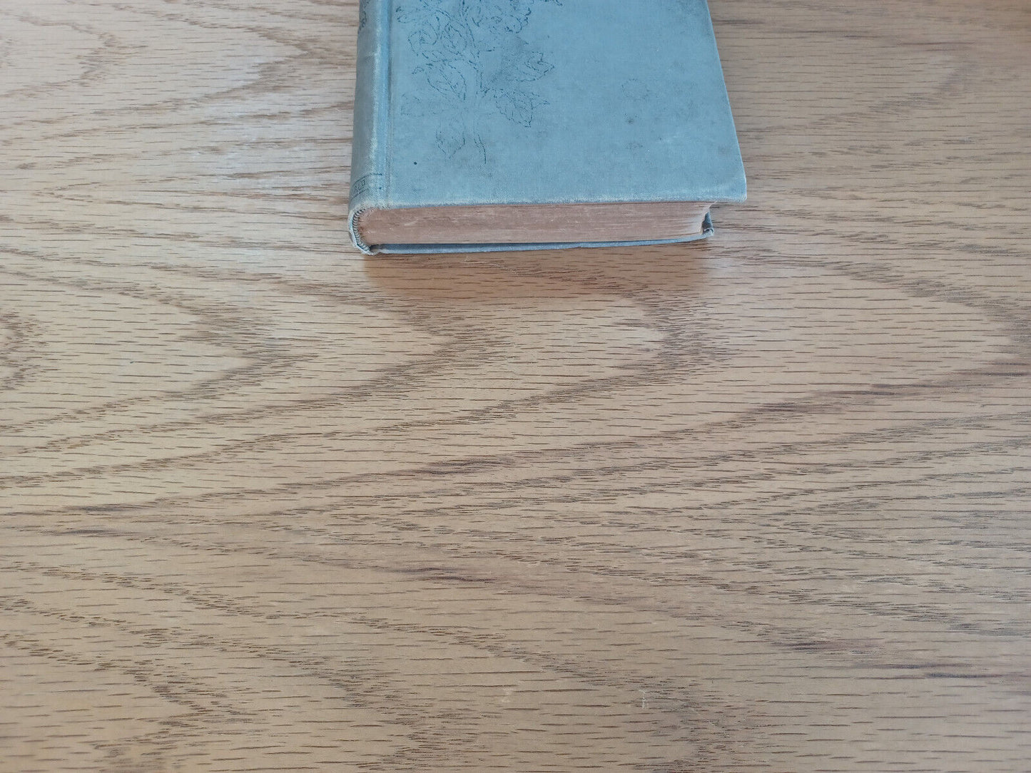 Helen’s Babies With Some Account Of Their Ways By John Habberton 1881