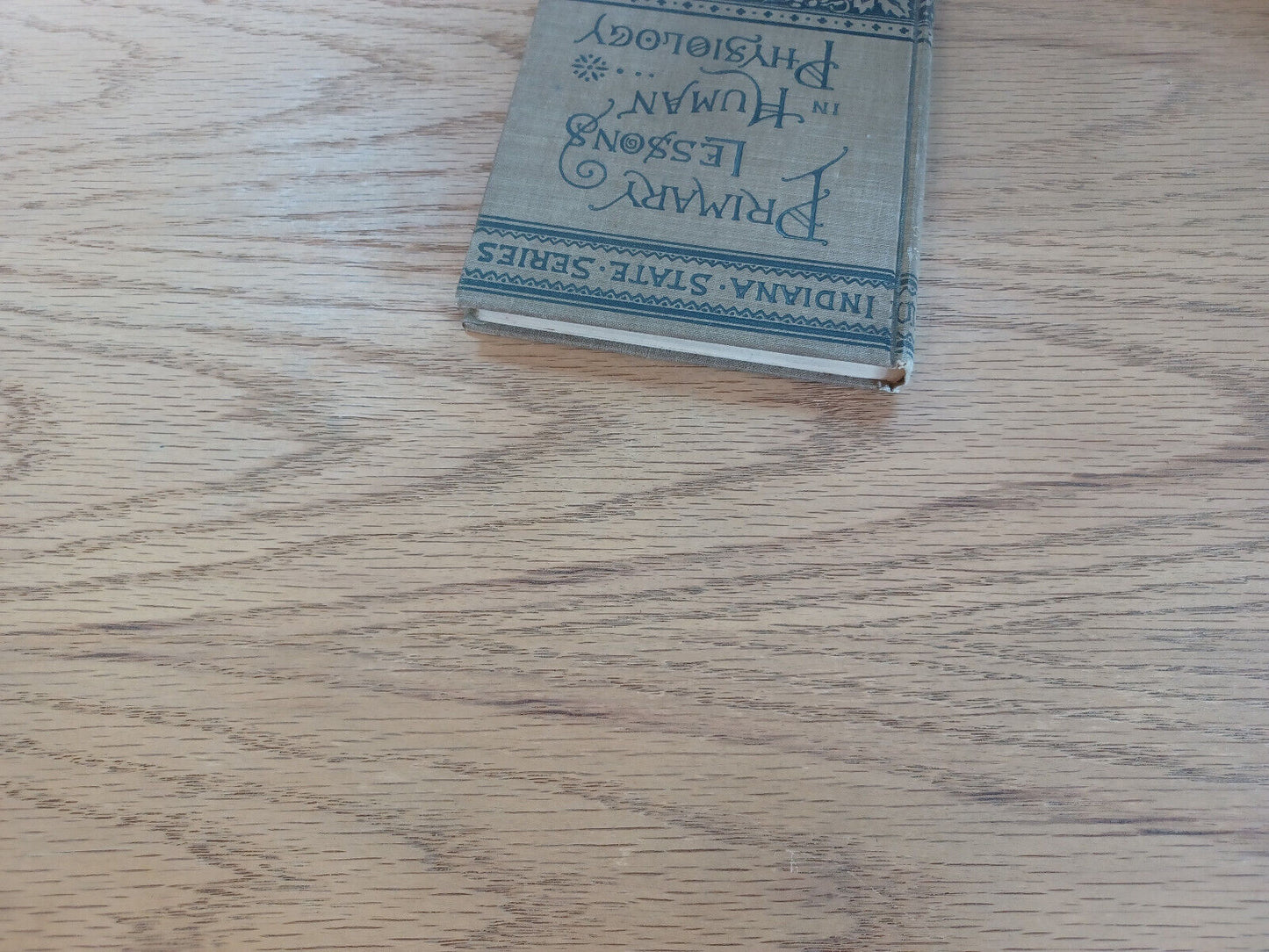 Primary Lessons In Human Physiology By Oliver P Jenkins 1896