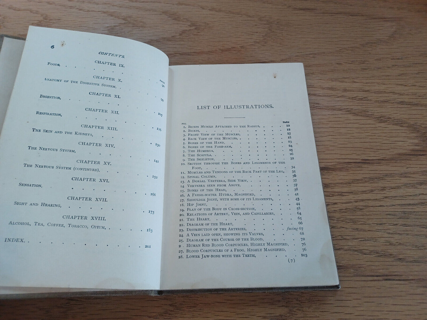 Primary Lessons In Human Physiology By Oliver P Jenkins 1896