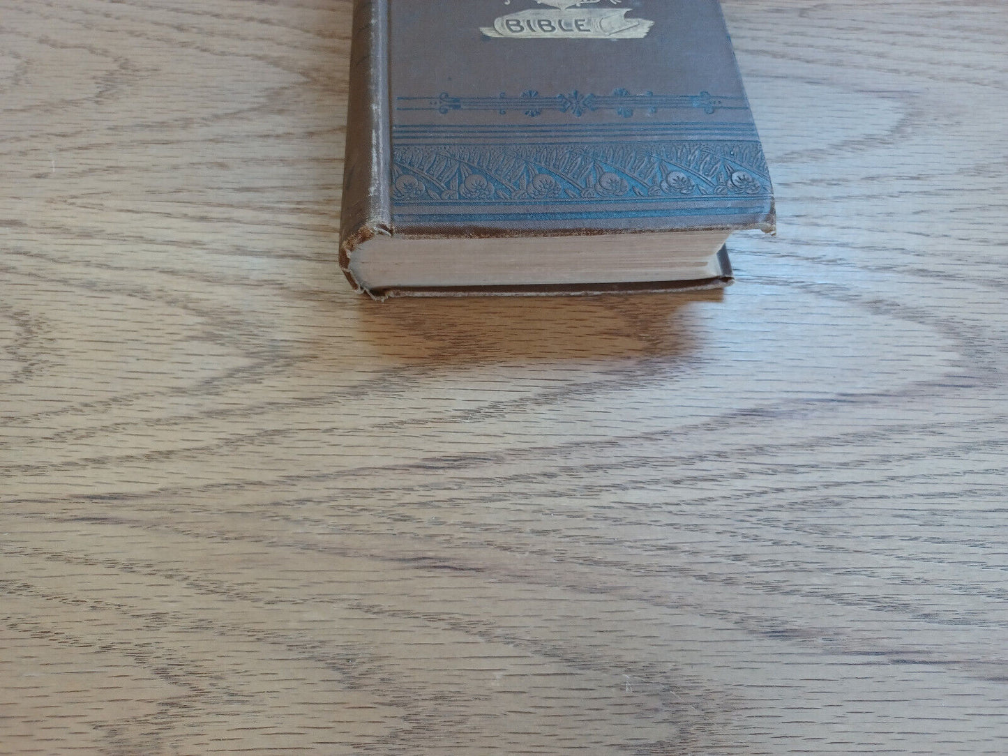 Curiosities Of The Bible Persons Places And Things 1890