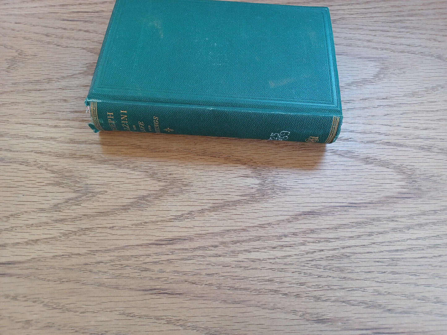 Joseph Mazzini His Life Writings And Political Principles 1872 William Garrison