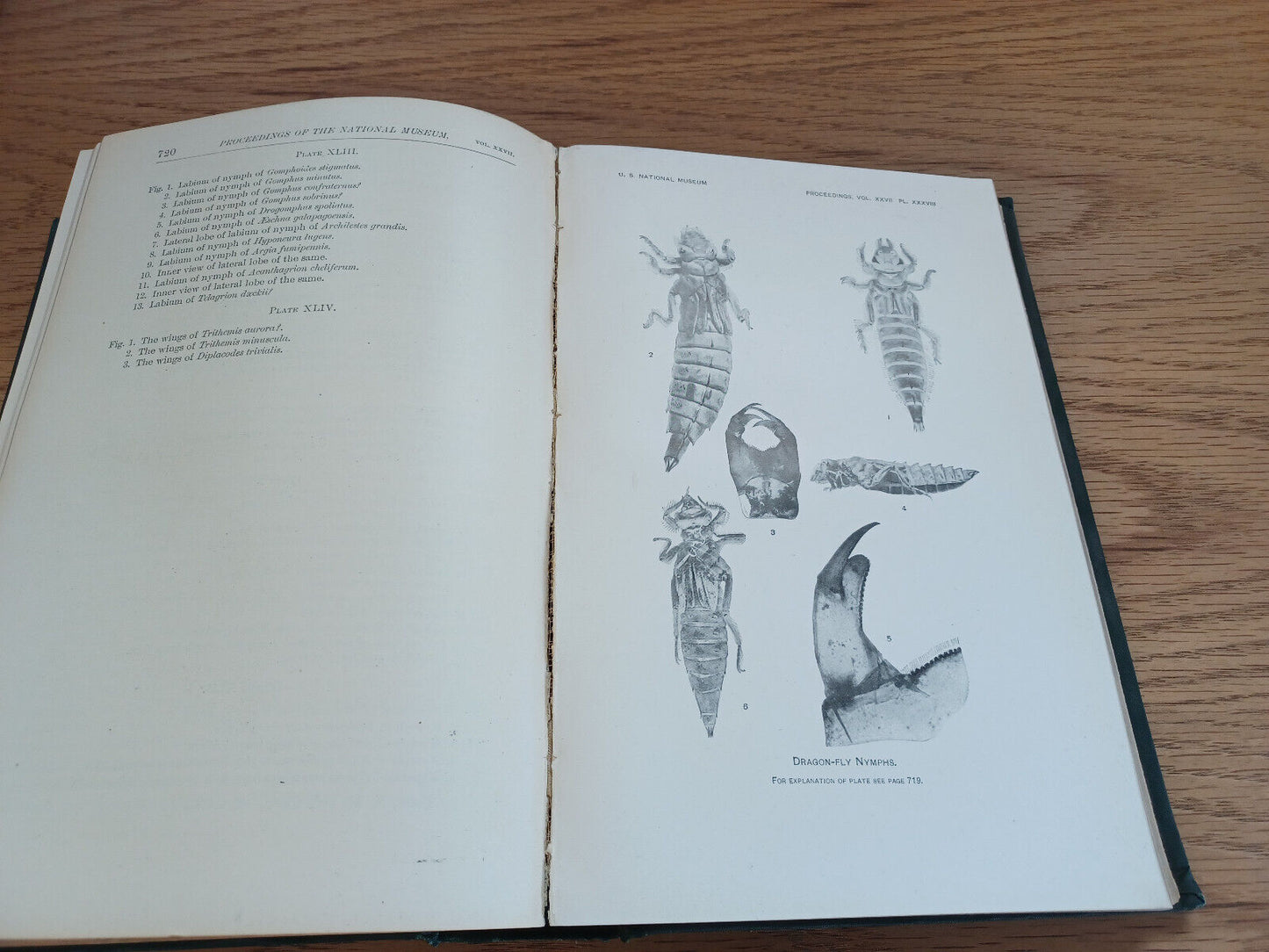 Smithsonian Institution Proceedings United States National Museum Vol Xxvii 1904