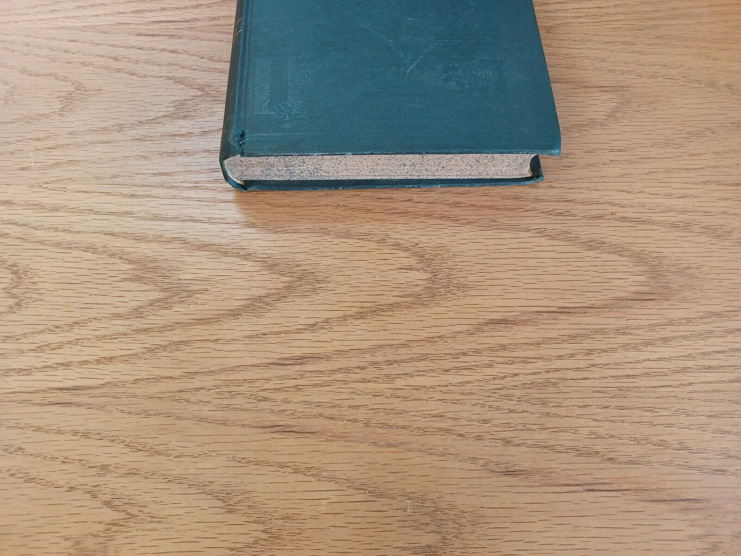 Works J Fenimore Cooper Headsman Lionel Lincoln Brave Heidenmauer Vol Ten 1893