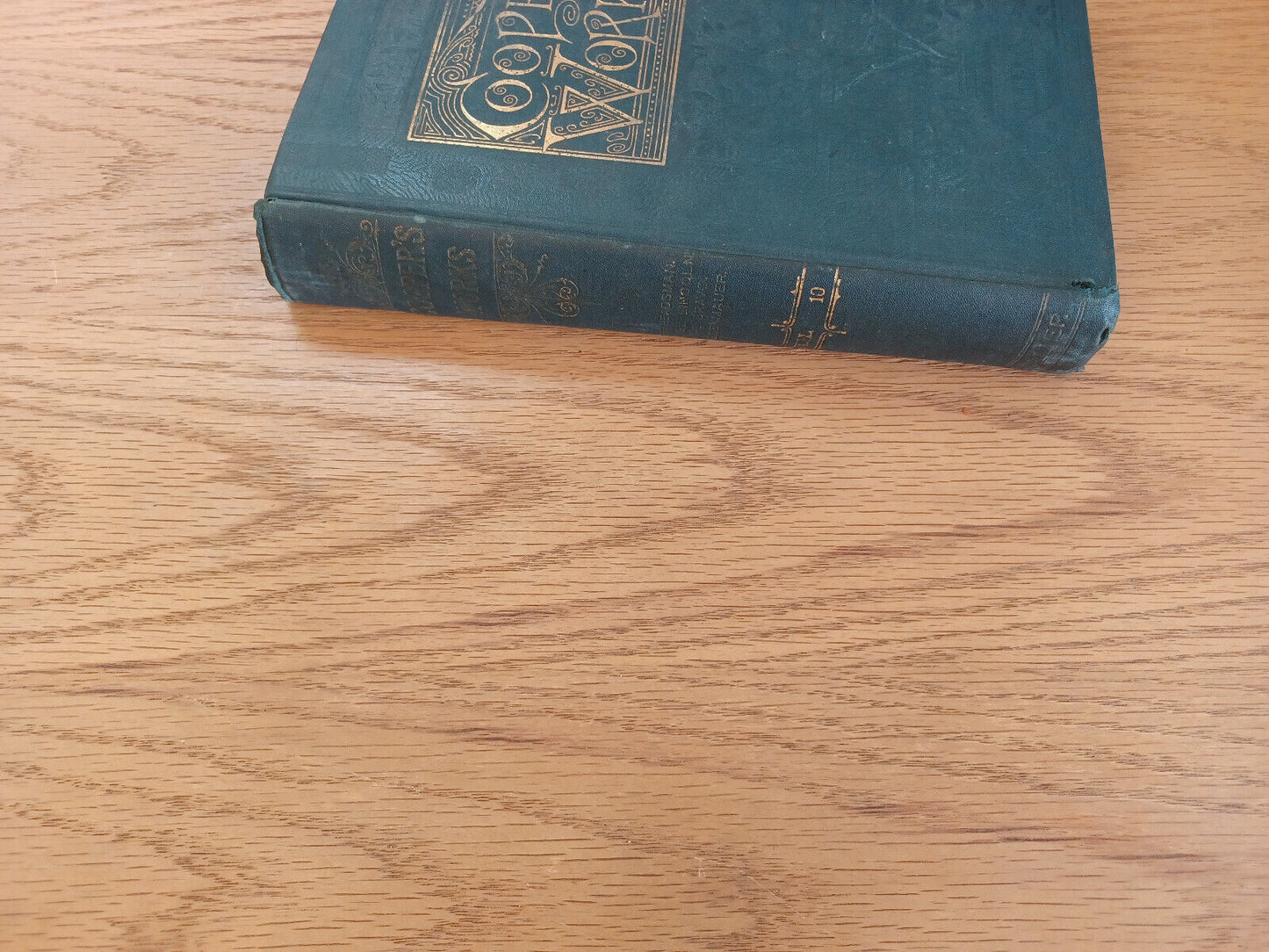 Works J Fenimore Cooper Headsman Lionel Lincoln Brave Heidenmauer Vol Ten 1893