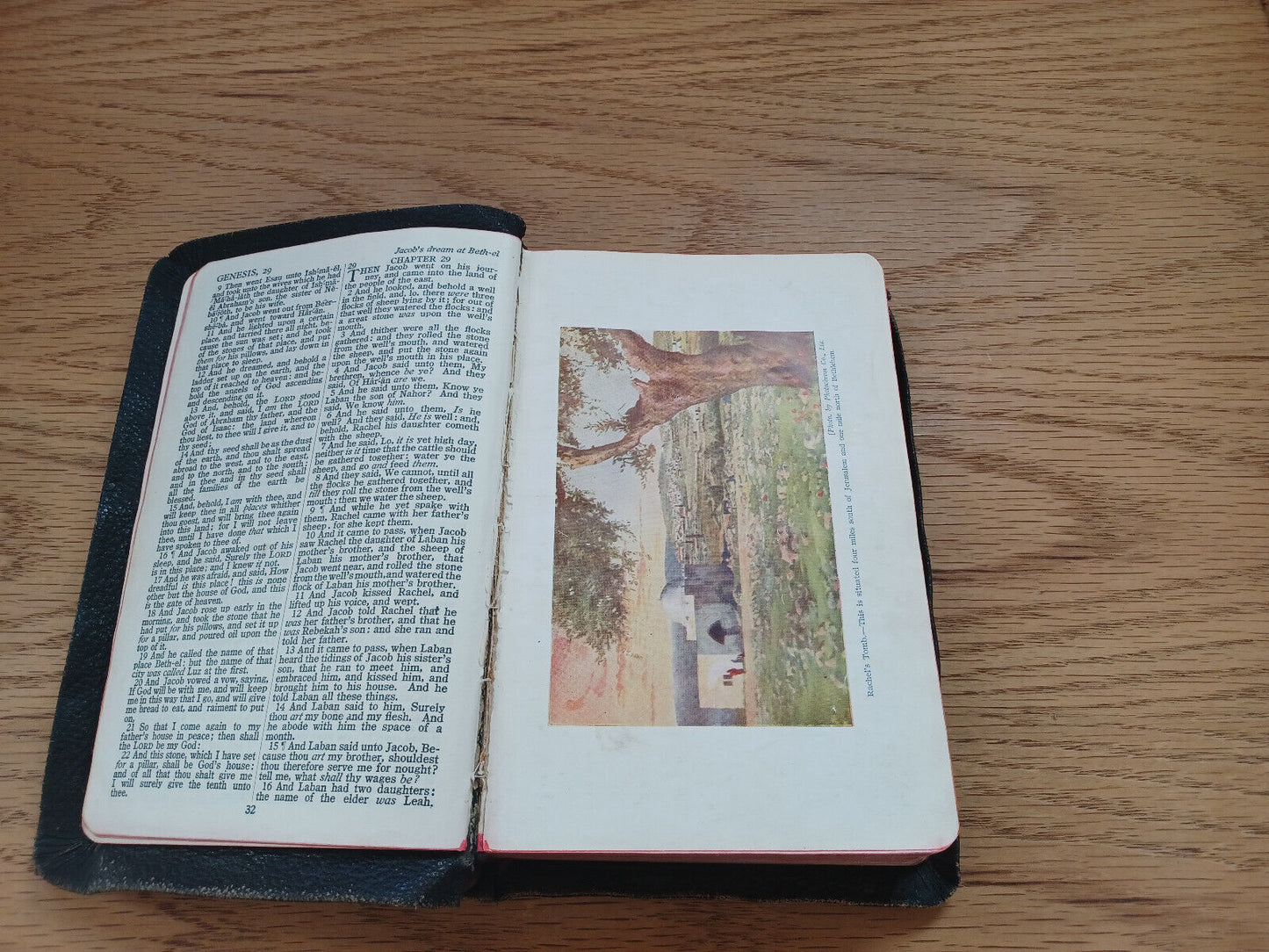 Holy Bible Authorized King James Version 1934 Collins' Clear Type Press Leather