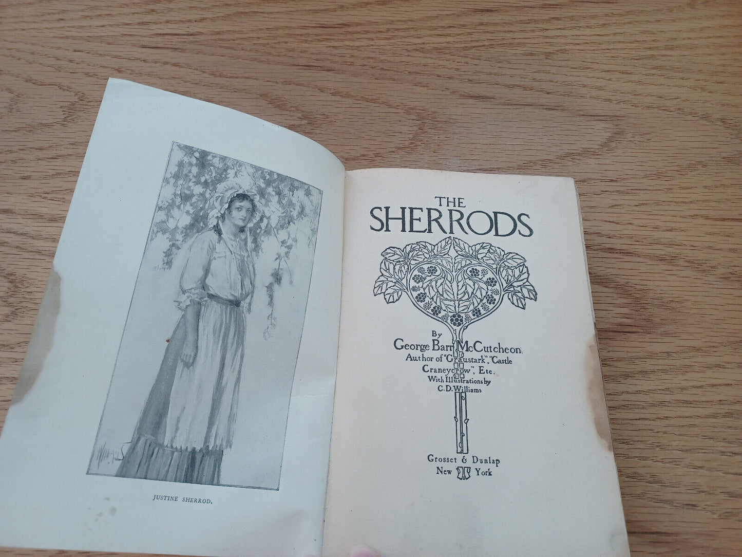 The Sherrods George Barr Mccuthcheon 1903