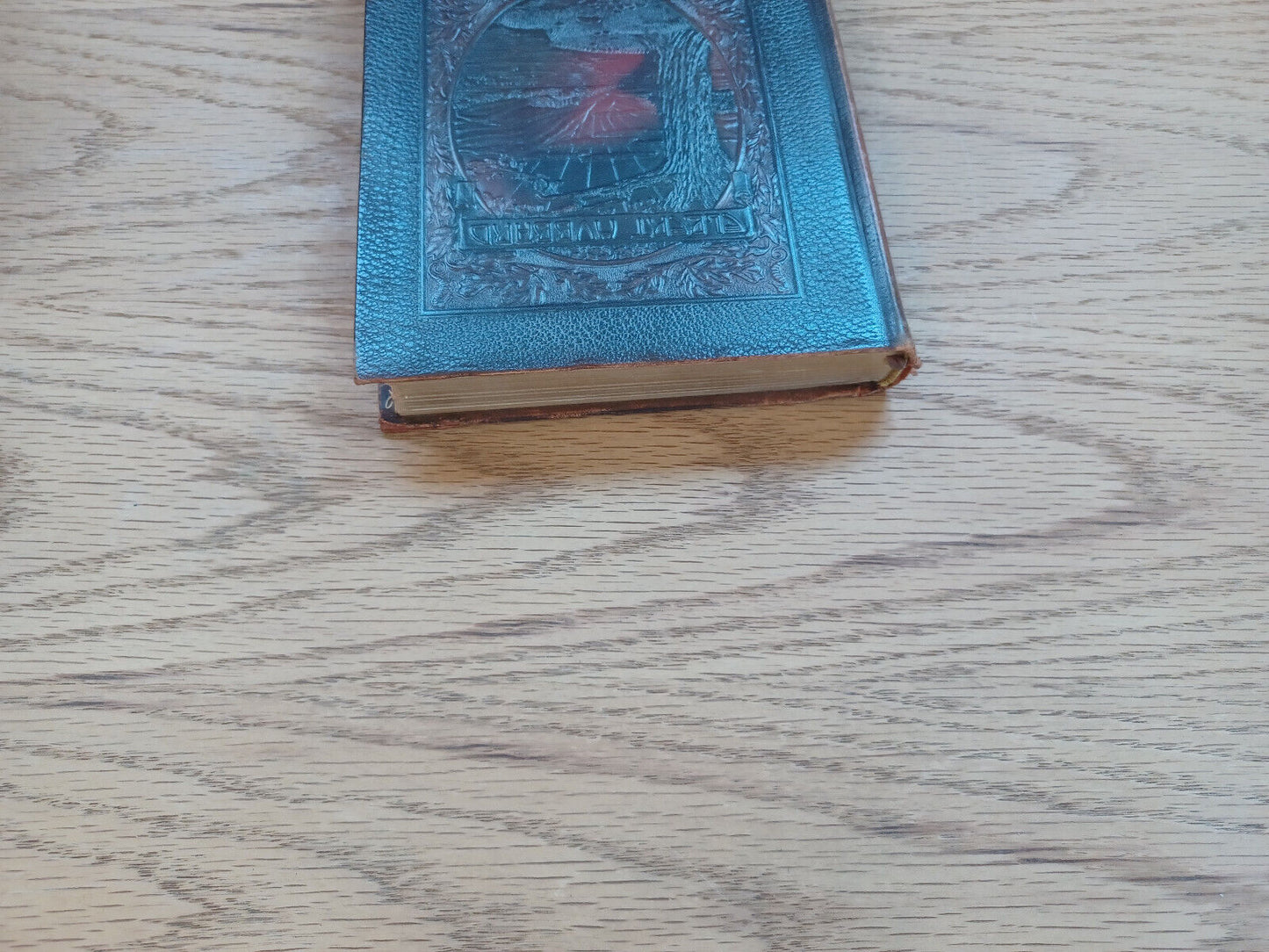 Little Journeys Elbert Hubbard Memorial Ed The Homes Of The Great 1916 Vol Iii