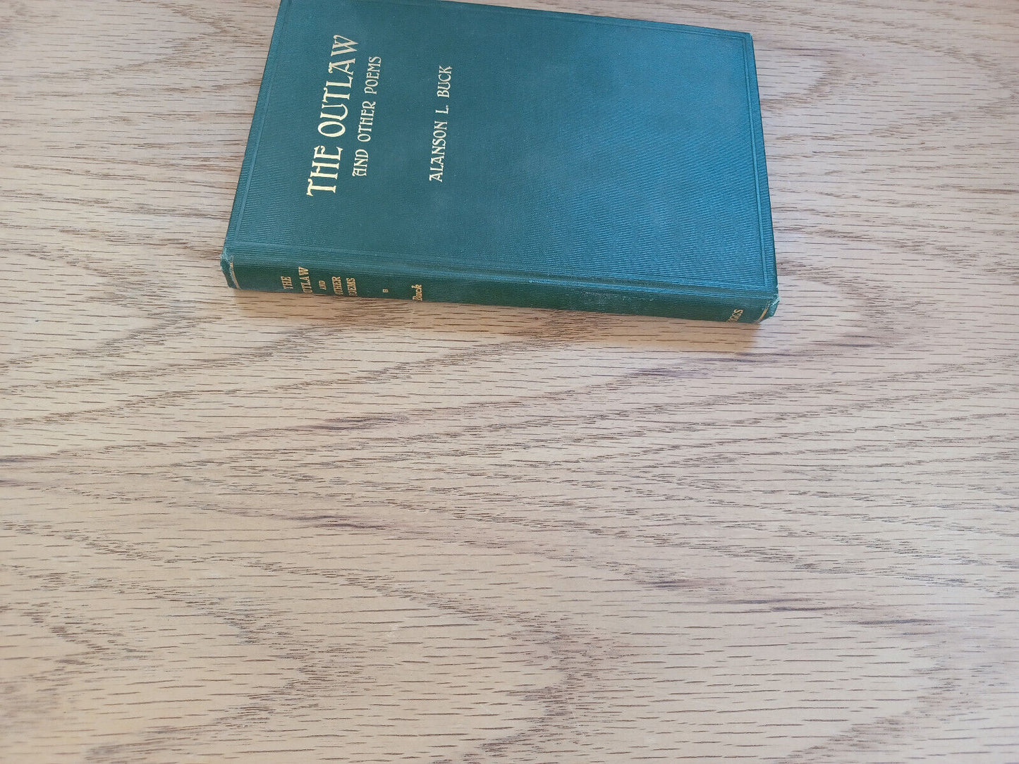 The Outlaw And Other Poems Alanson L Buck 1913