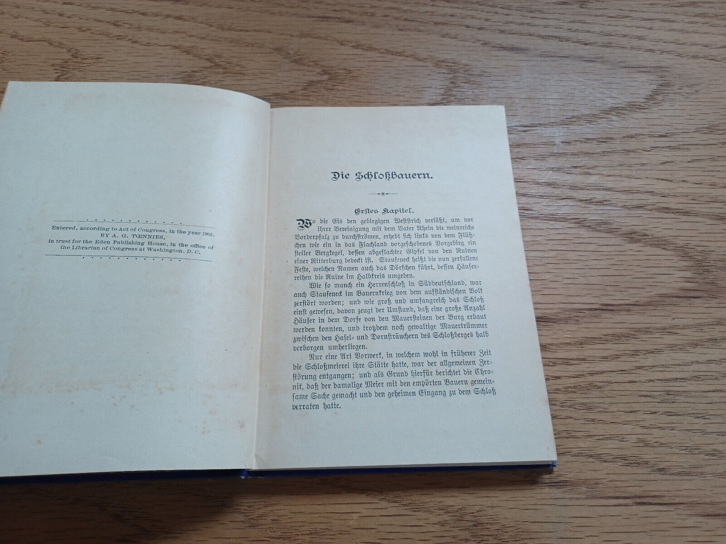 Die Schlossbauren Johannes Albus 1902 German