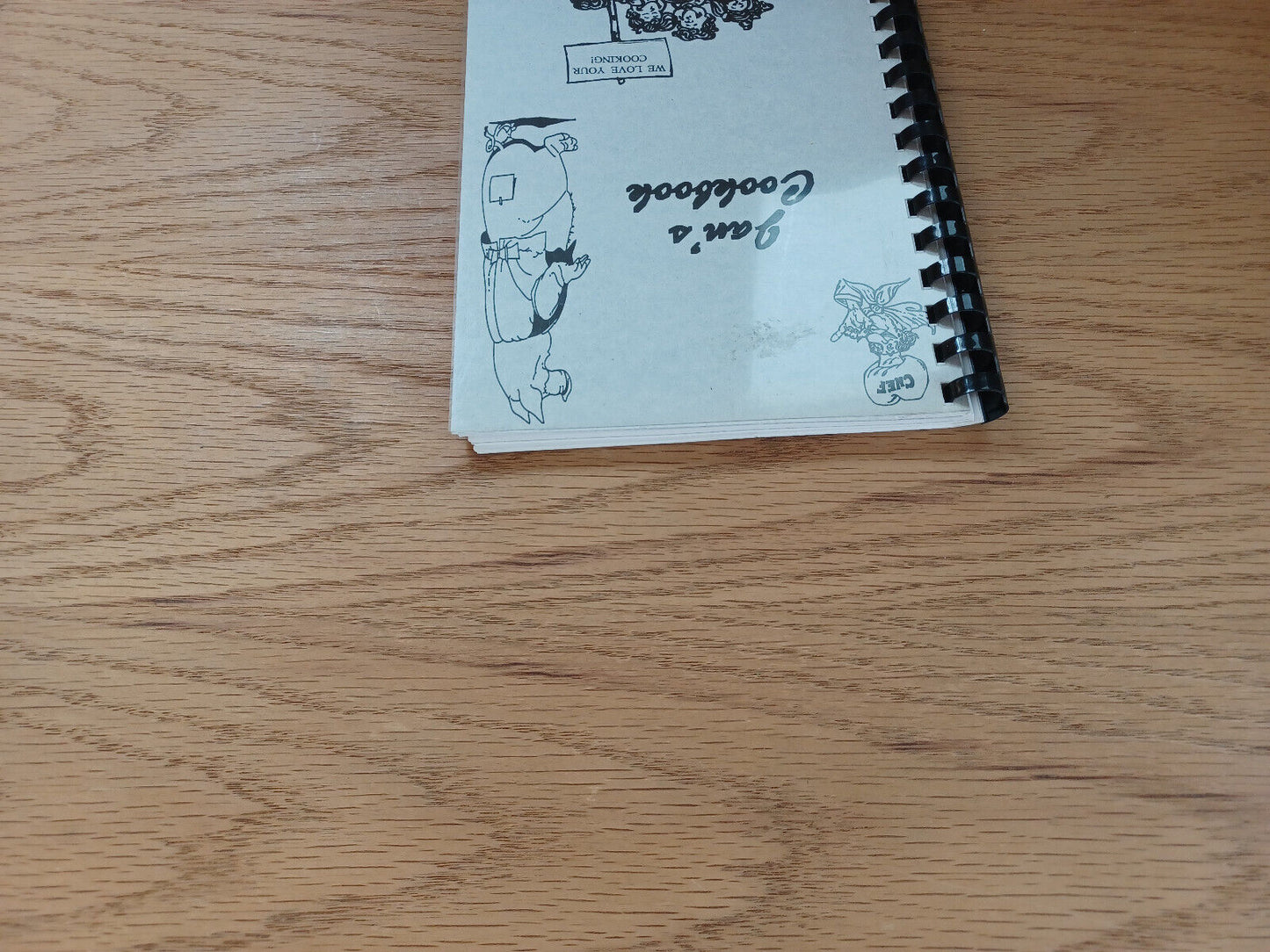 Jan'S Cookbook Meo Inc 1987