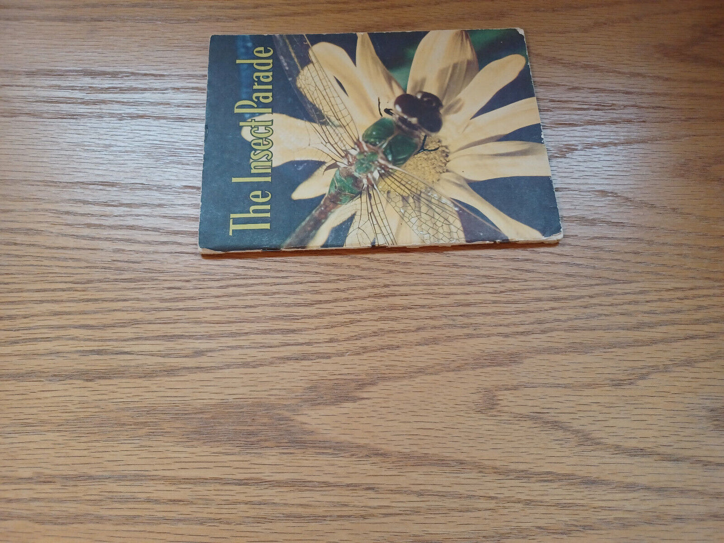 The Insect Parade By Glenn Blough 1955