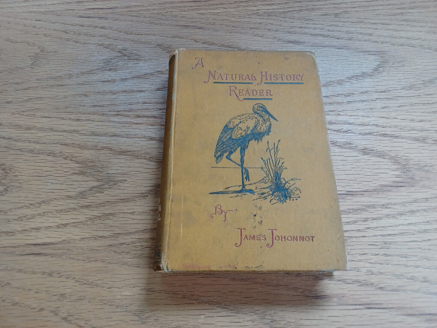 A Natural History Reader For School And Home James Johonnot 1884