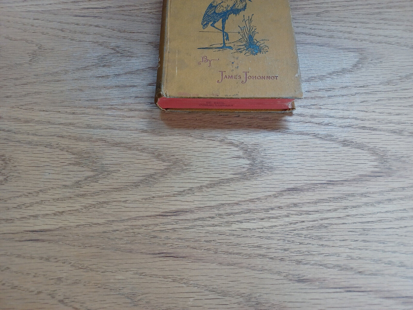 A Natural History Reader For School And Home James Johonnot 1884