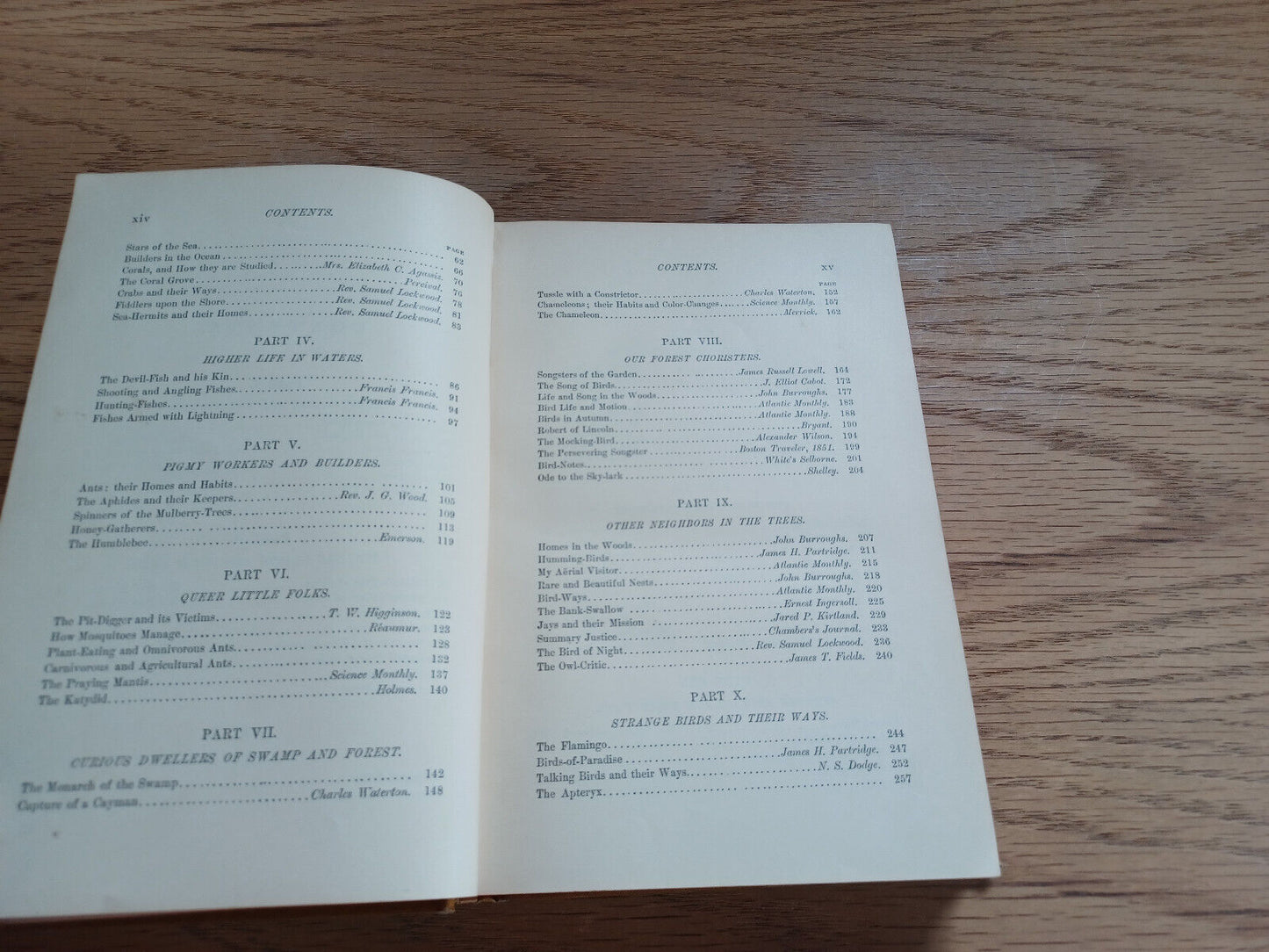 A Natural History Reader For School And Home James Johonnot 1884