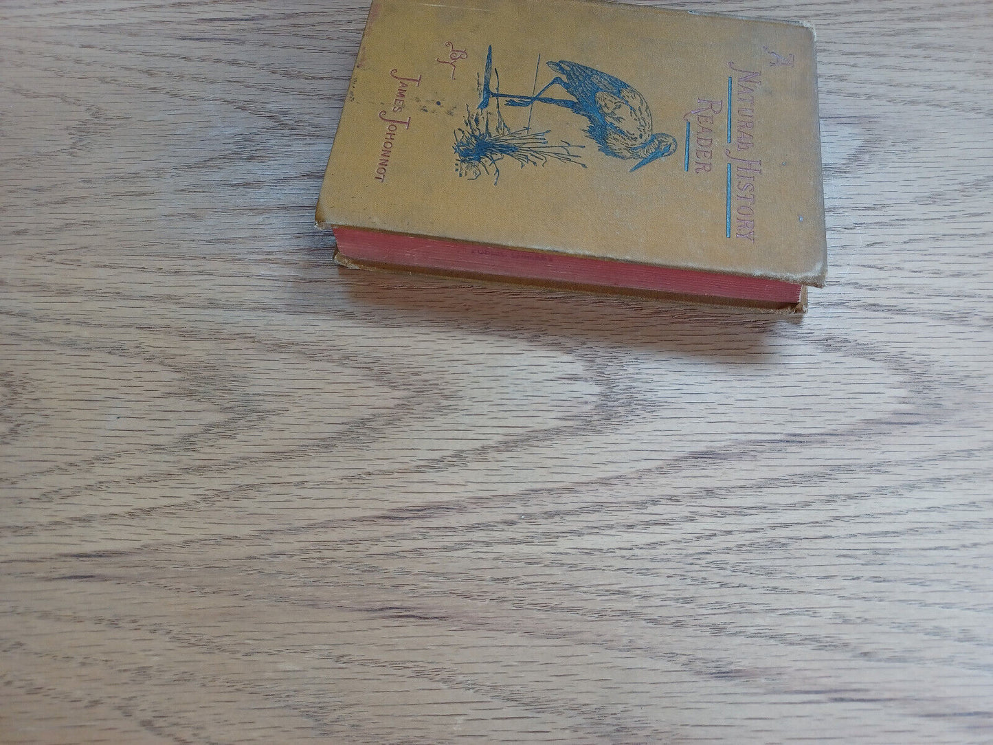 A Natural History Reader For School And Home James Johonnot 1884