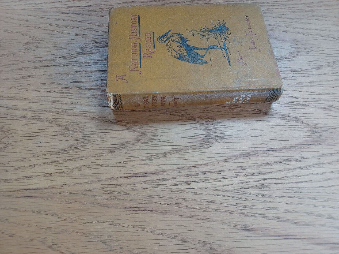 A Natural History Reader For School And Home James Johonnot 1884