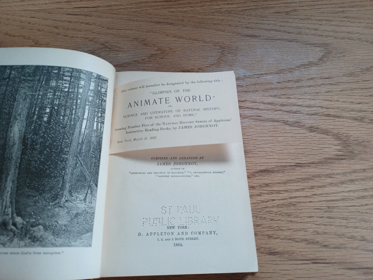 A Natural History Reader For School And Home James Johonnot 1884