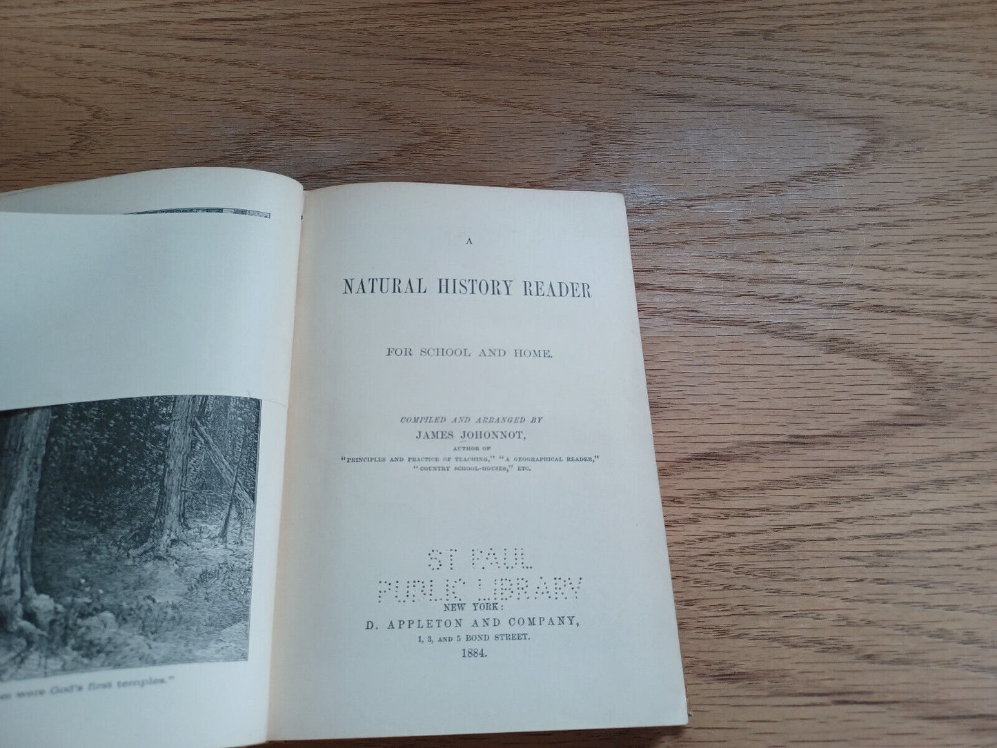A Natural History Reader For School And Home James Johonnot 1884